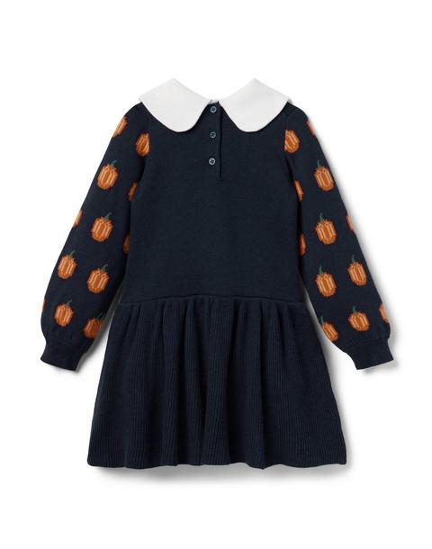 The Pumpkin Patch Sweater Dress