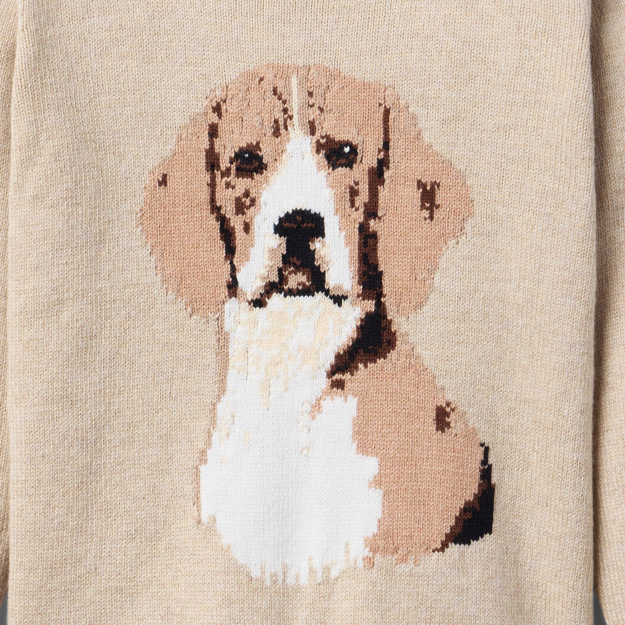 The Dog Sweater image number 1