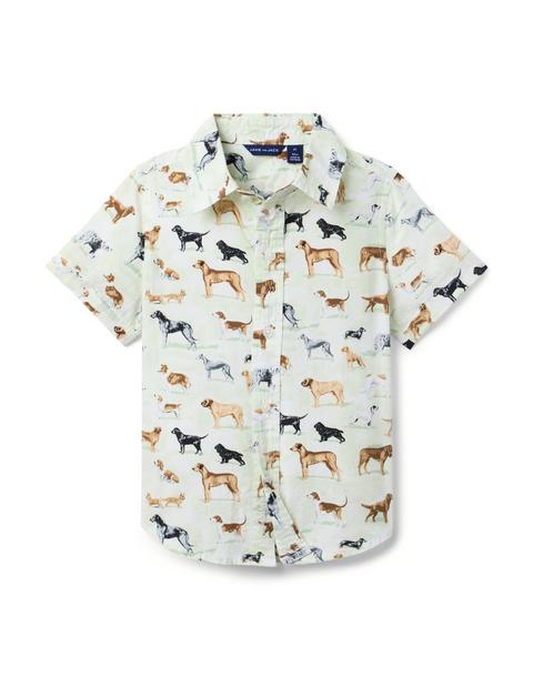 The Poplin Shirt