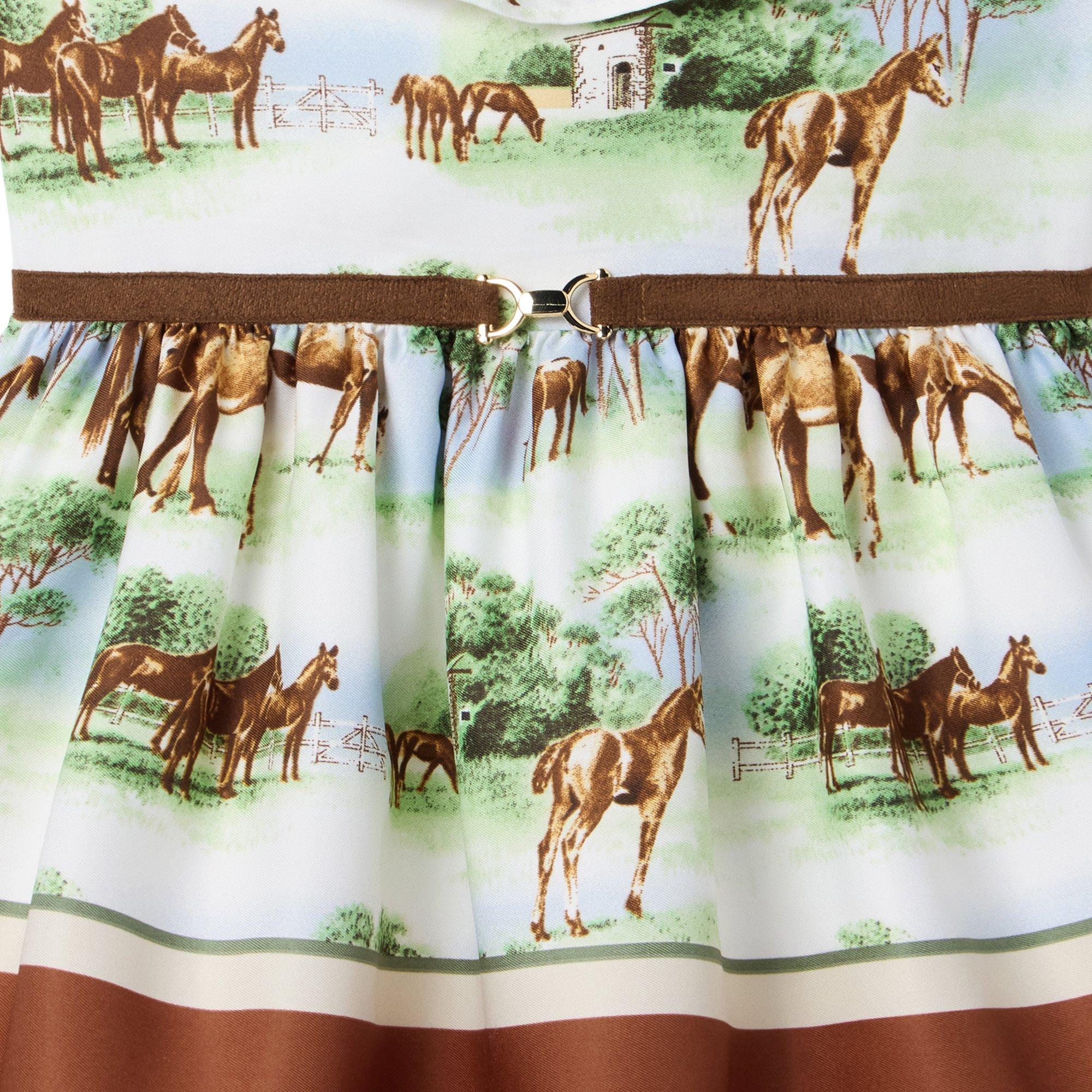 The Horse Ranch Dress image number 2