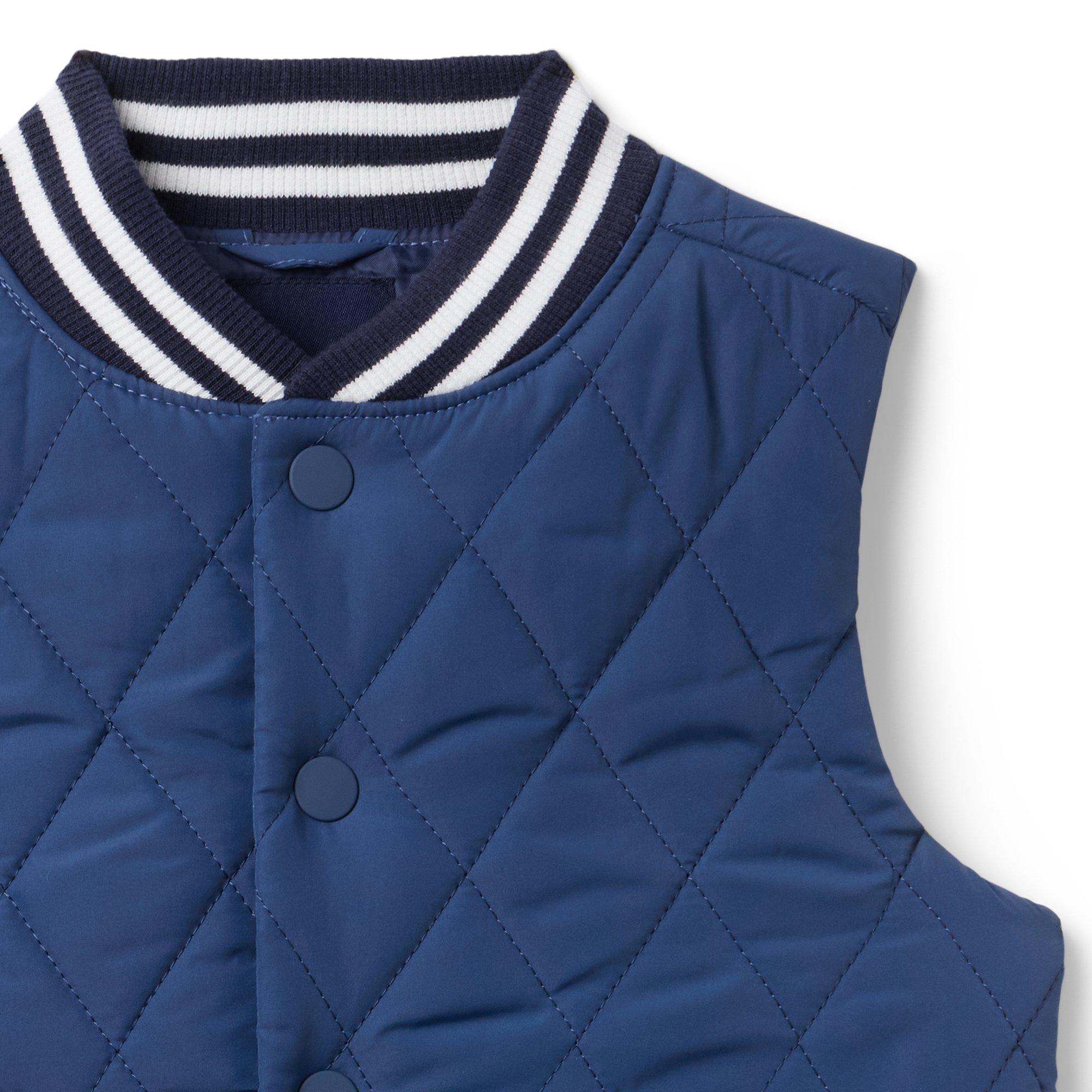 The Varsity Puffer Vest image number 1