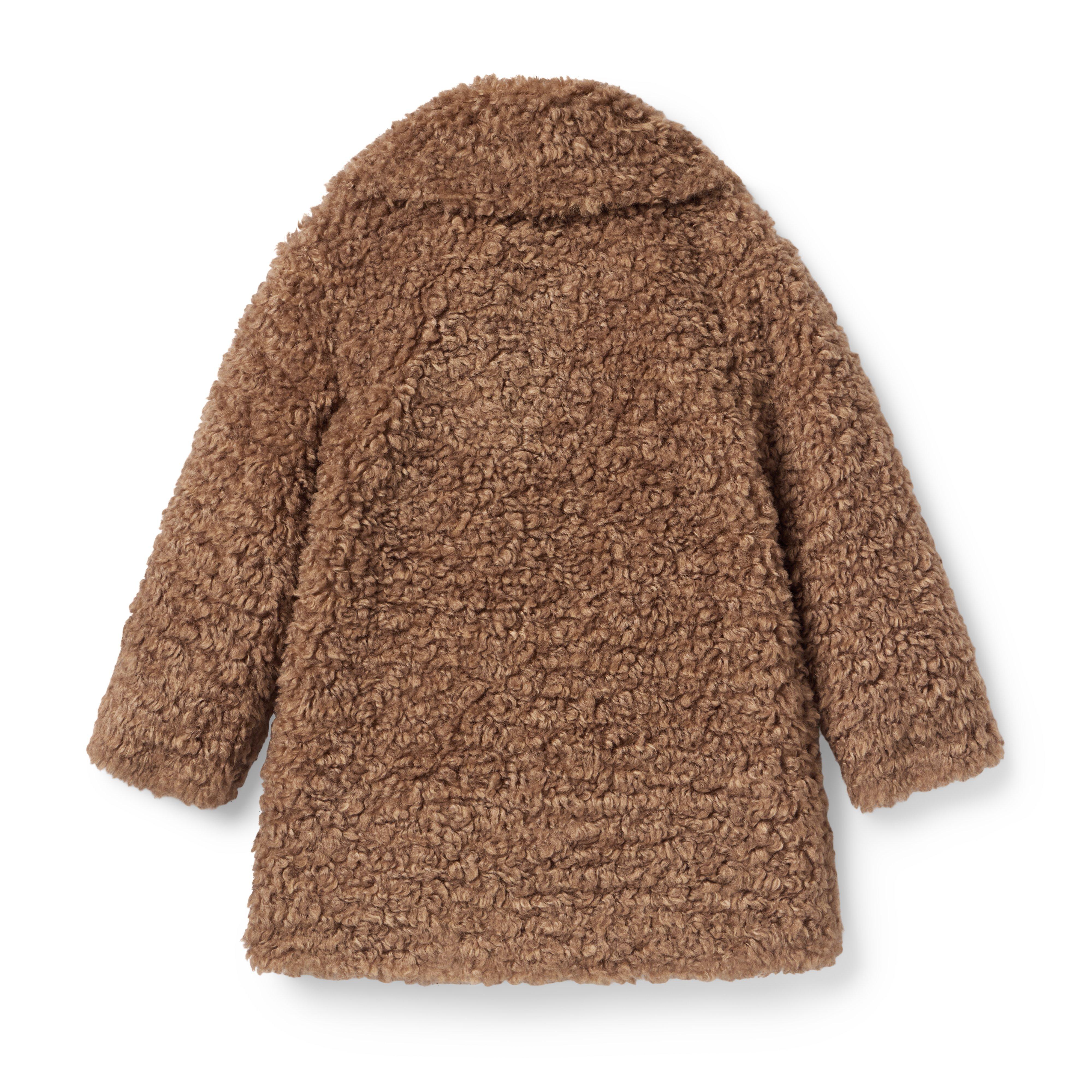 The Sherpa Teddy Coat image number 1