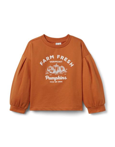 Pumpkin Patch Sweatshirt
