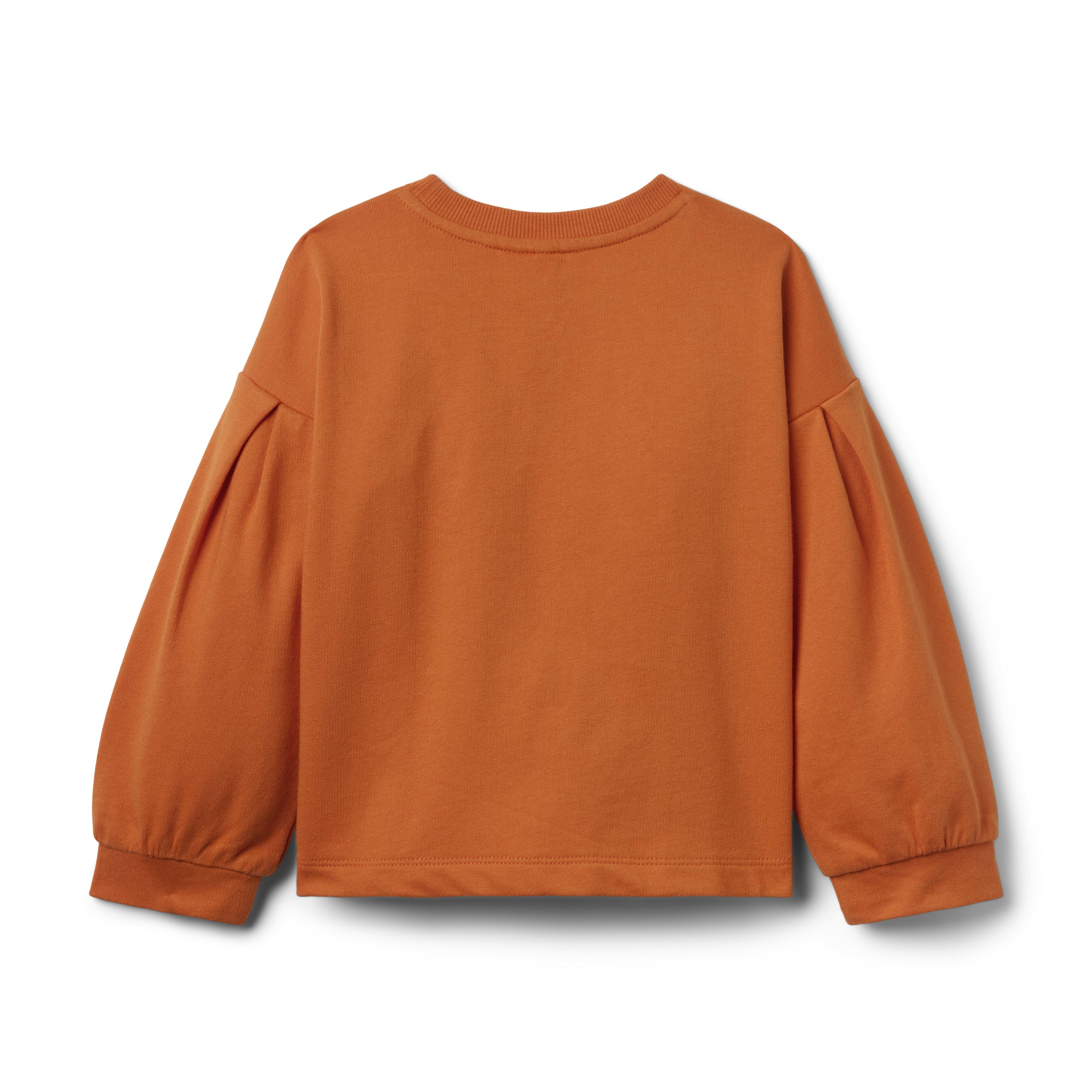 Pumpkin Patch Sweatshirt image number 2