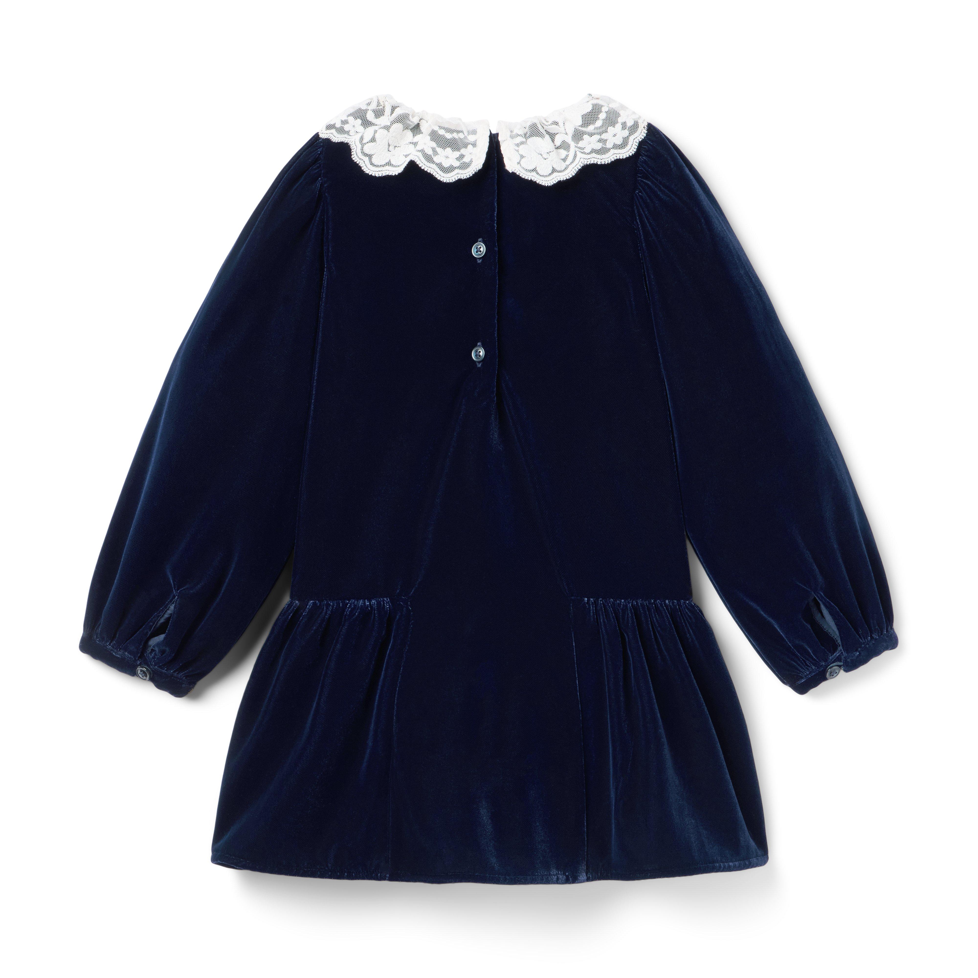 The Velvet Lace Collar Dress image number 2