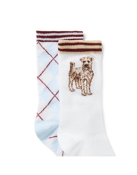 Argyle And Dog Sock 2-Pack