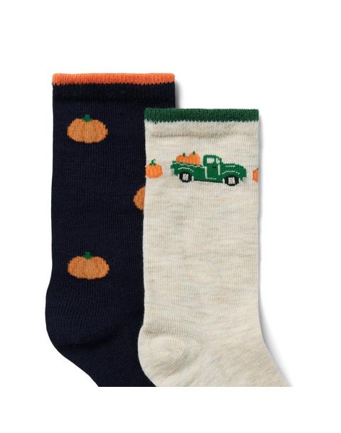 Pumpkin Sock 2-Pack
