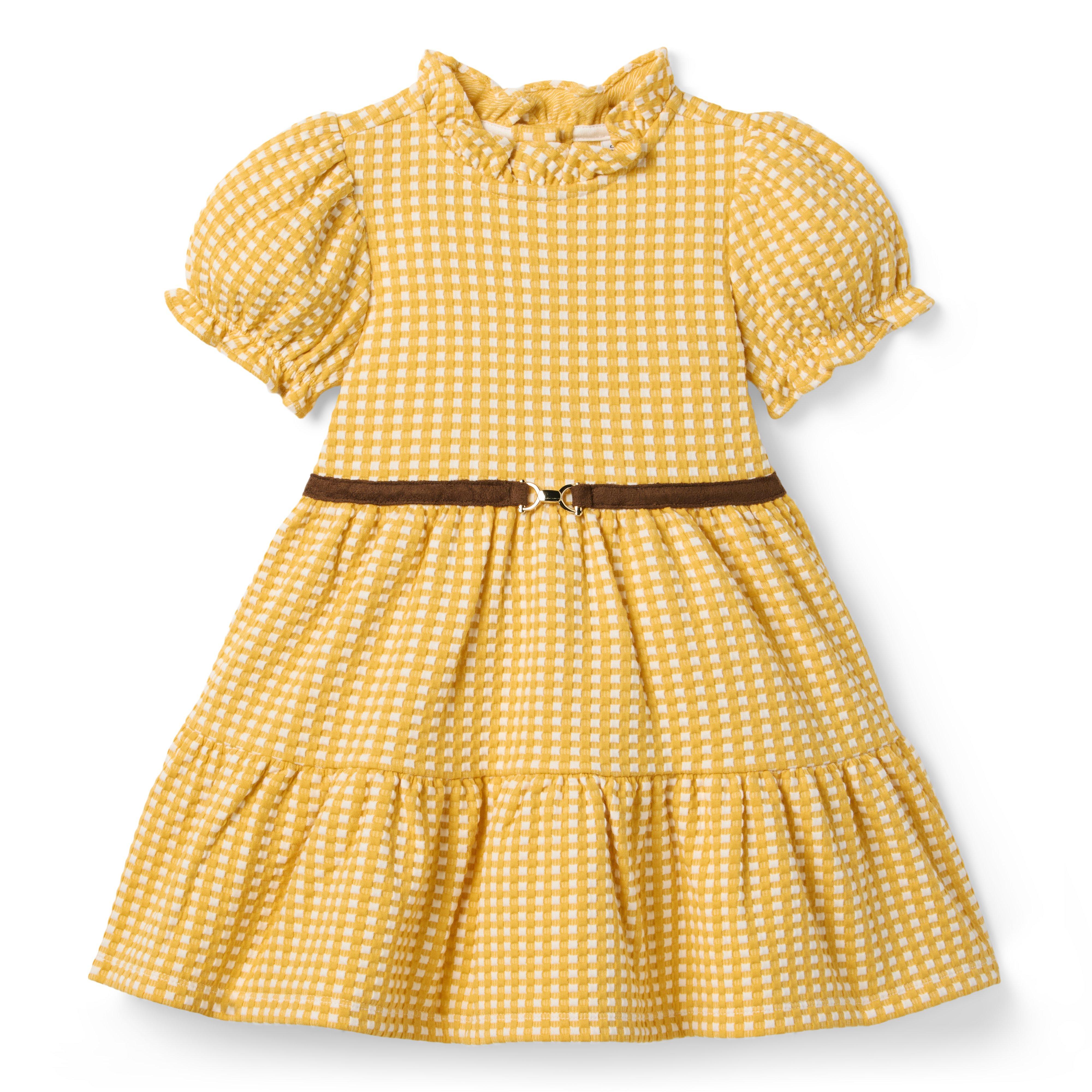 Gingham Bridle Bit Dress image number 0