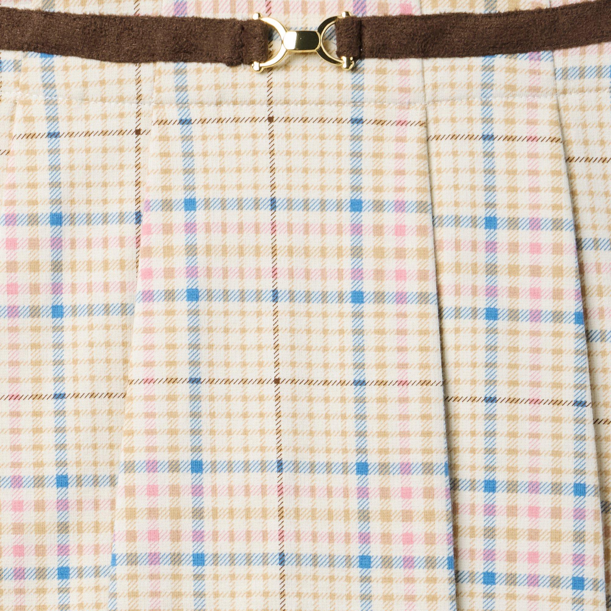 The Plaid Pleated Skirt image number 1