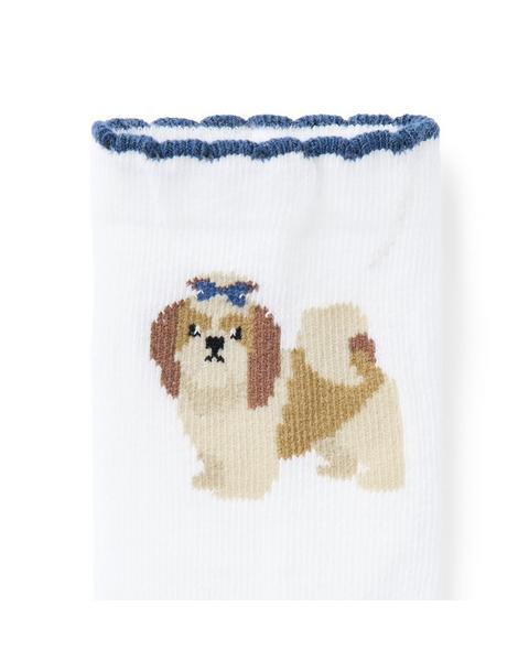 Baby Dog And Flower Sock 2-Pack