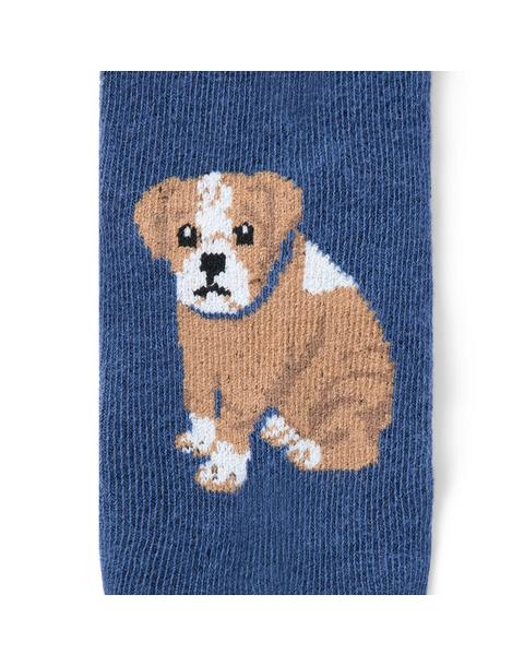 Baby Dog Sock 2-Pack