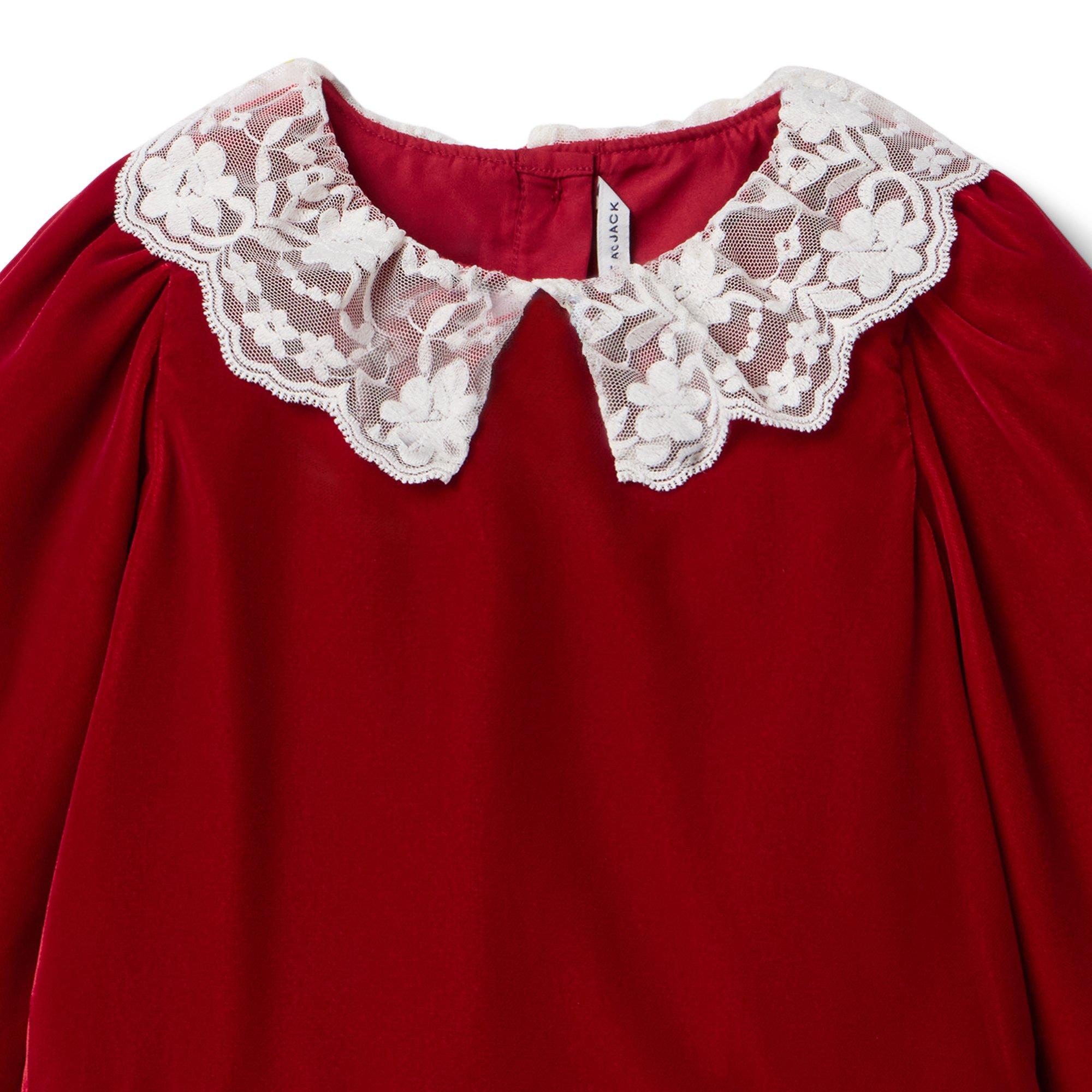 The Velvet Lace Collar Dress image number 2