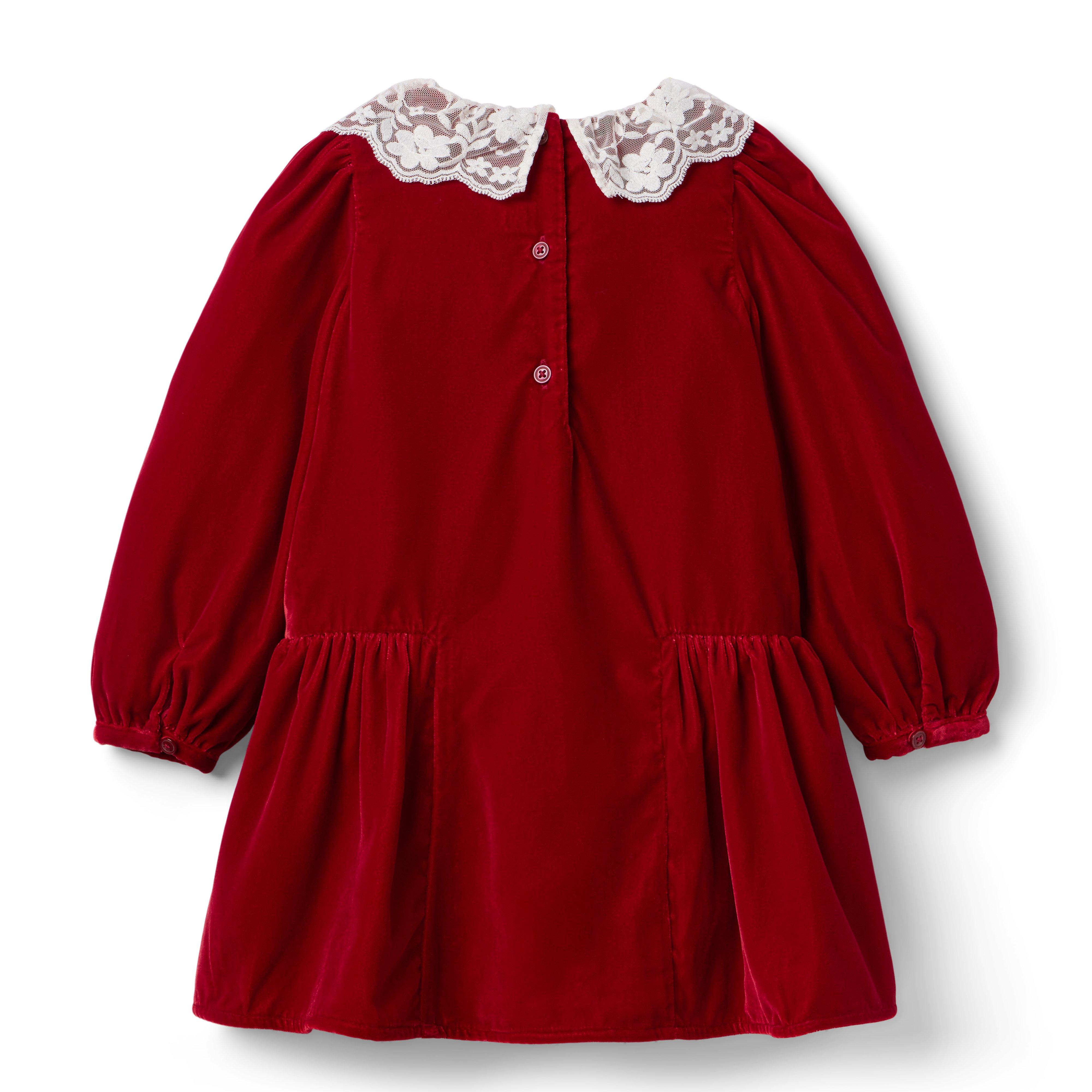 The Velvet Lace Collar Dress image number 1