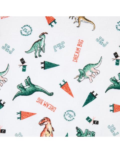 Organic Cotton Dinosaur Friends Pajama