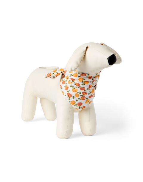 Pumpkin Dog Bandana