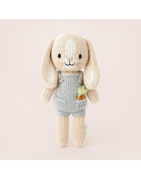 Tiny Henry the bunny