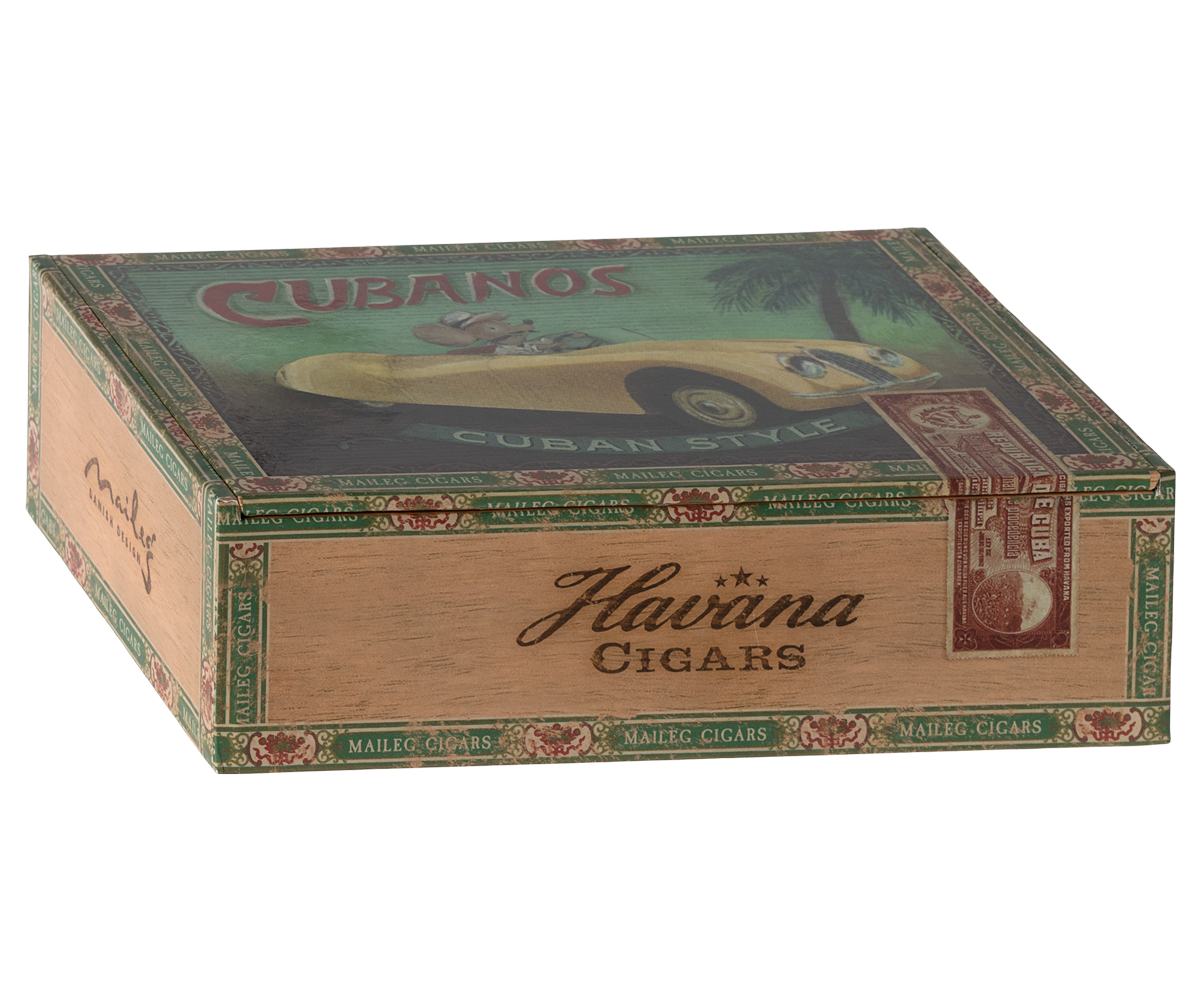 Grandma & Grandpa Mice in Cigarbox image number 1