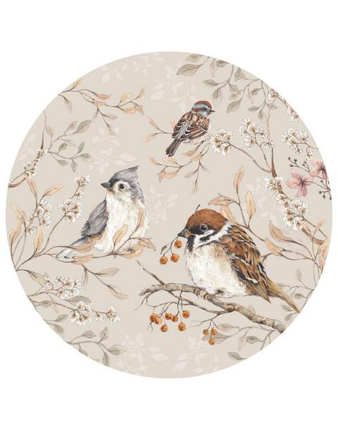 Birds in a Circle Wall Decal Set