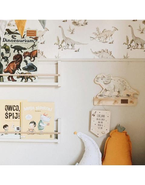 Dino Mini Shelf