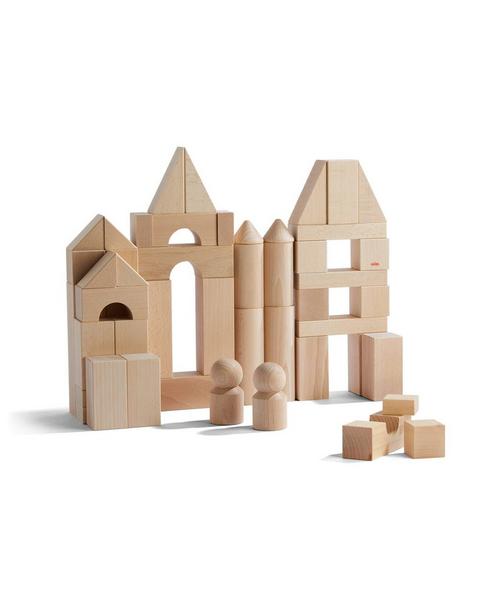 Basic Building Blocks 60 Piece Large Starter Set