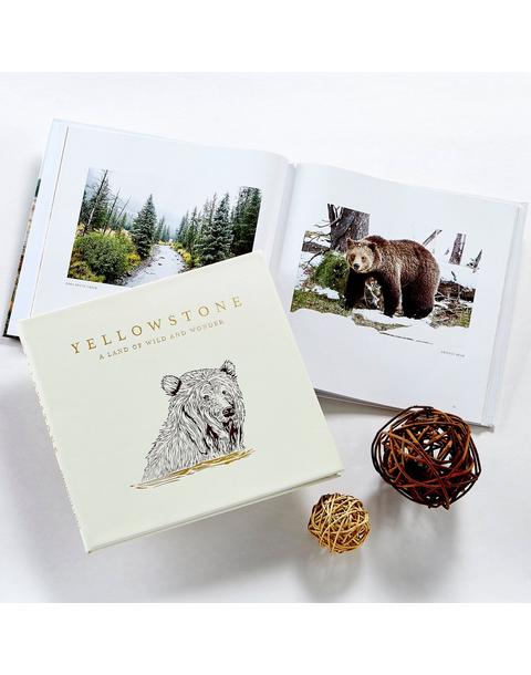 Yellowstone: A Land of Wild and Wonder LEATHER EDITION