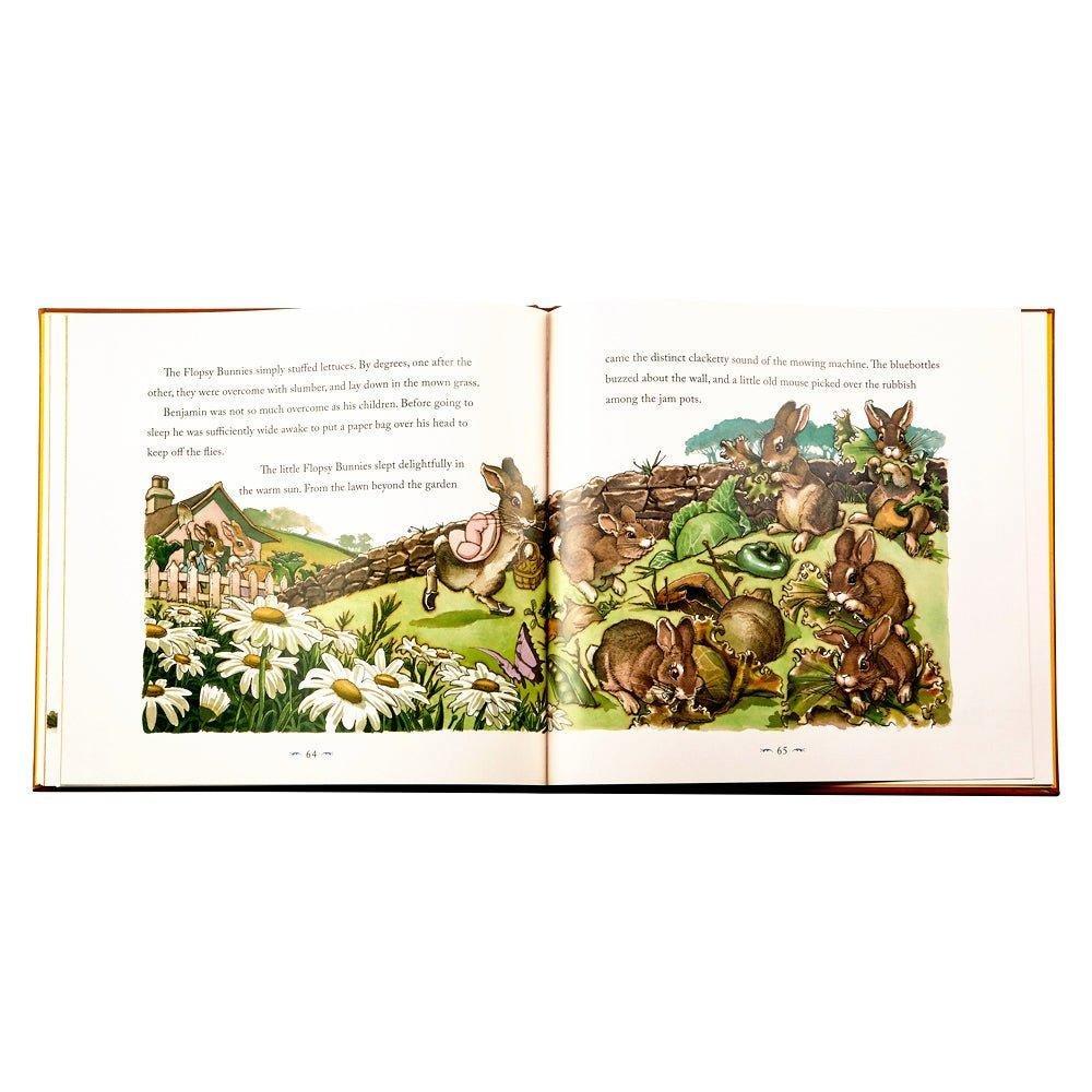 THE CLASSIC TALE OF PETER RABBIT LEATHER EDITION image number 2