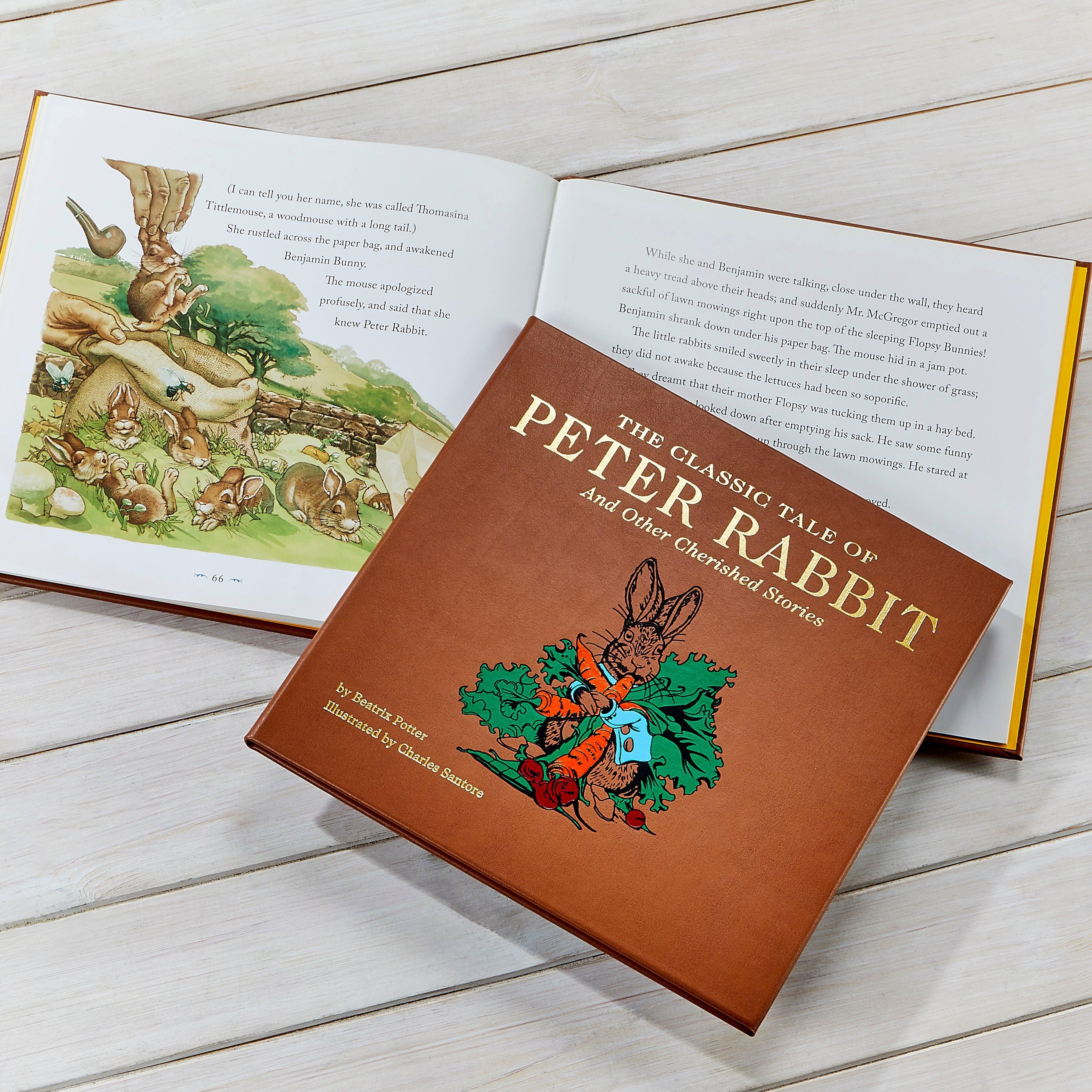 THE CLASSIC TALE OF PETER RABBIT LEATHER EDITION image number 1