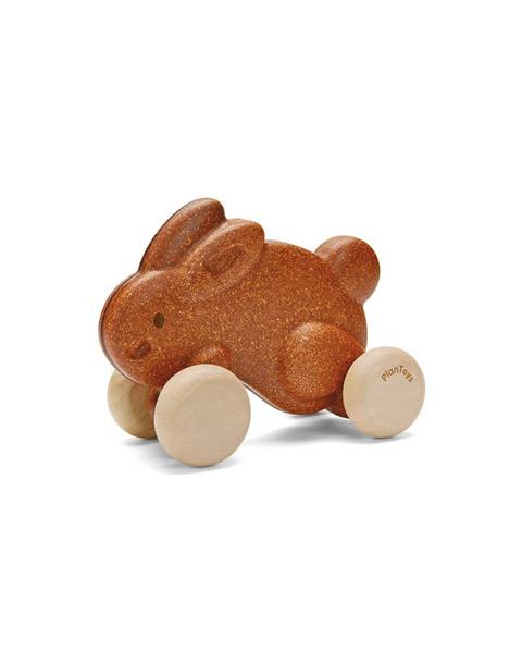 Push Along Bunny - Brown