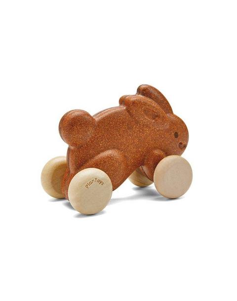Push Along Bunny - Brown