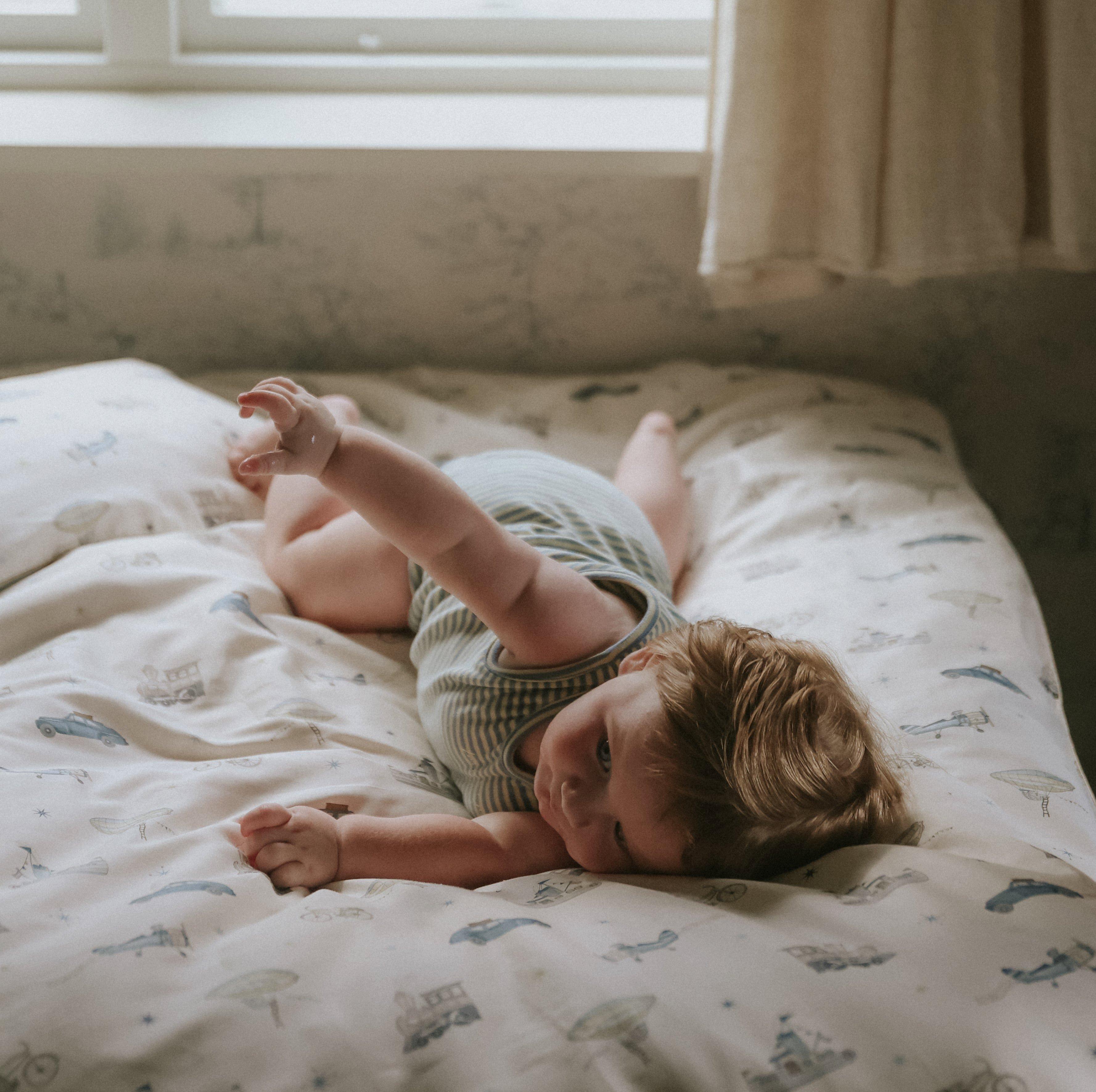 Dino Dreams Toddler Duvet Set - Sage image number 3