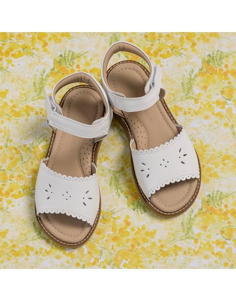 Classic Sandal with Scallop White