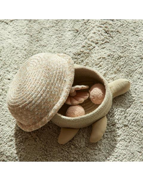Basket Baby Turtle