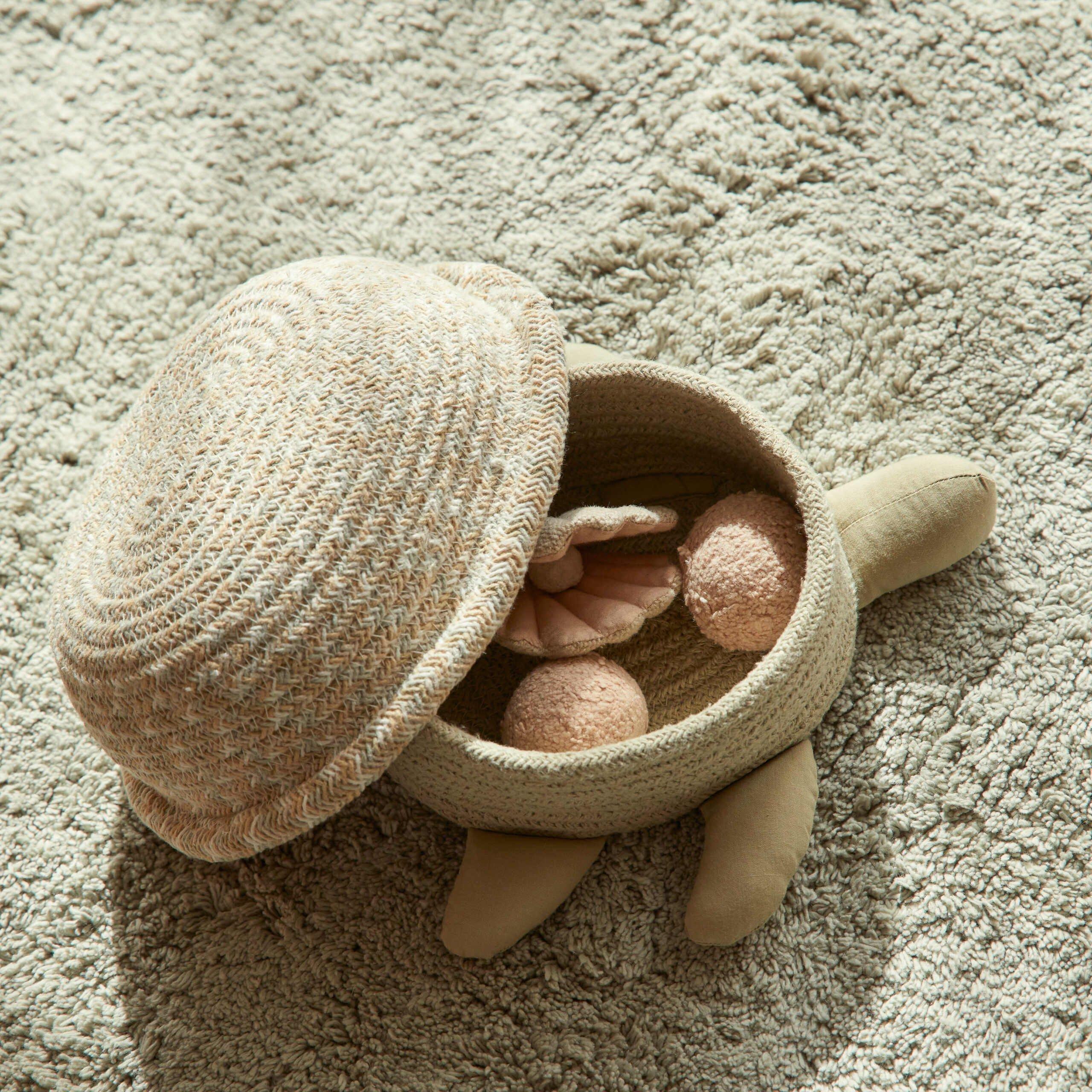 Basket Baby Turtle image number 1