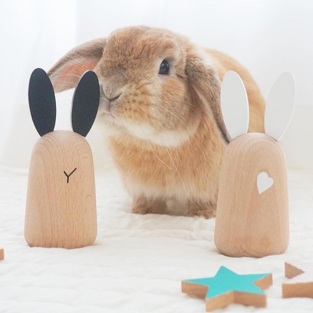 Usagi Wooden Bunny Chimes image number 1