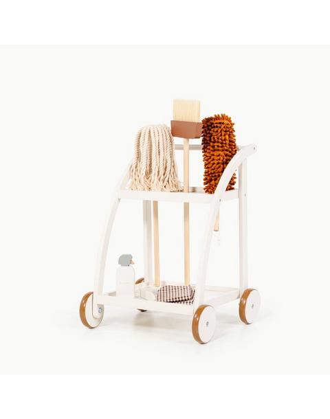Cleaning Cart