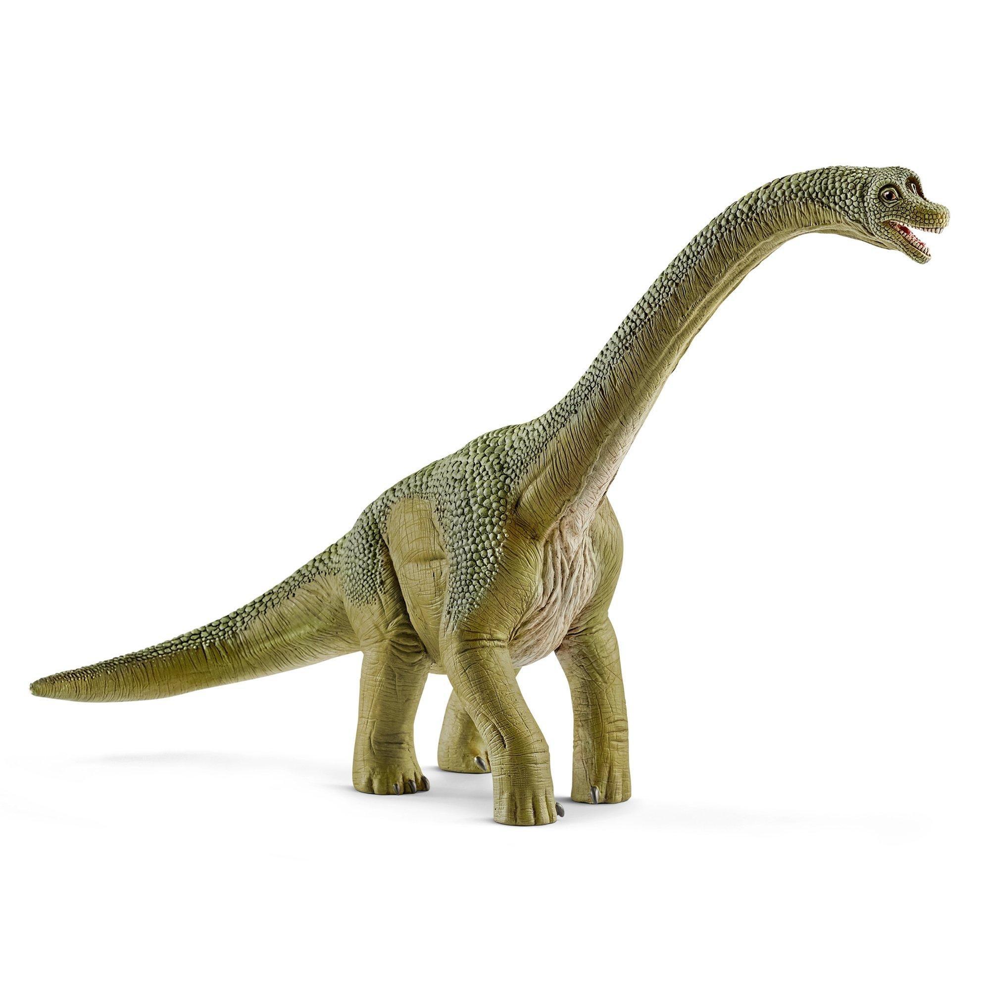 Dinosaurs: Brachiosaurus