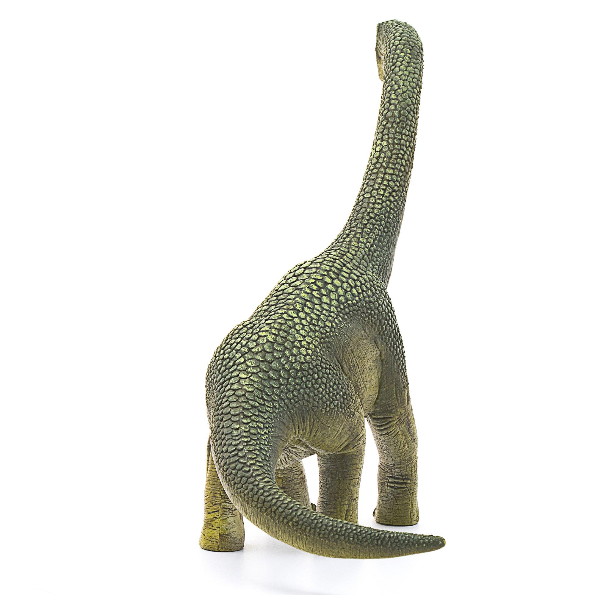 Dinosaurs: Brachiosaurus image number 2