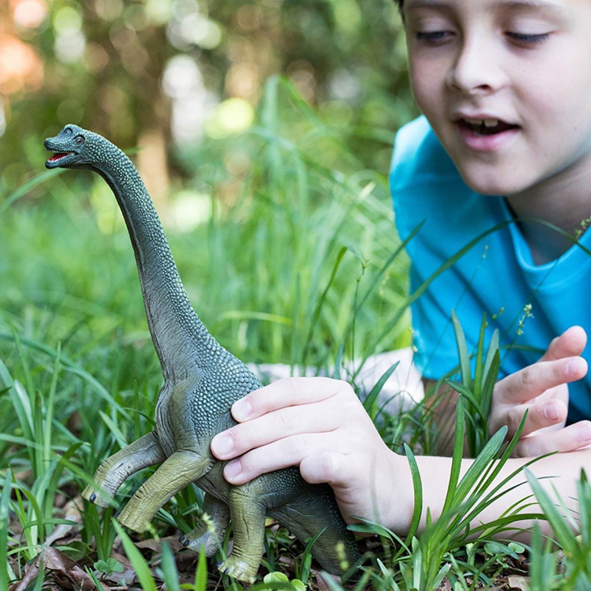 Dinosaurs: Brachiosaurus image number 3