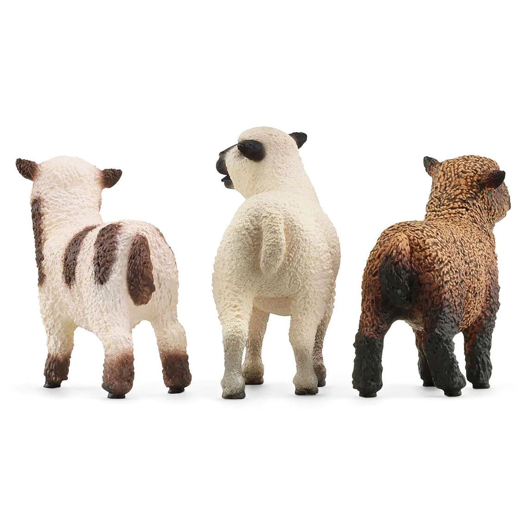 Farm World: Sheep Friends image number 2