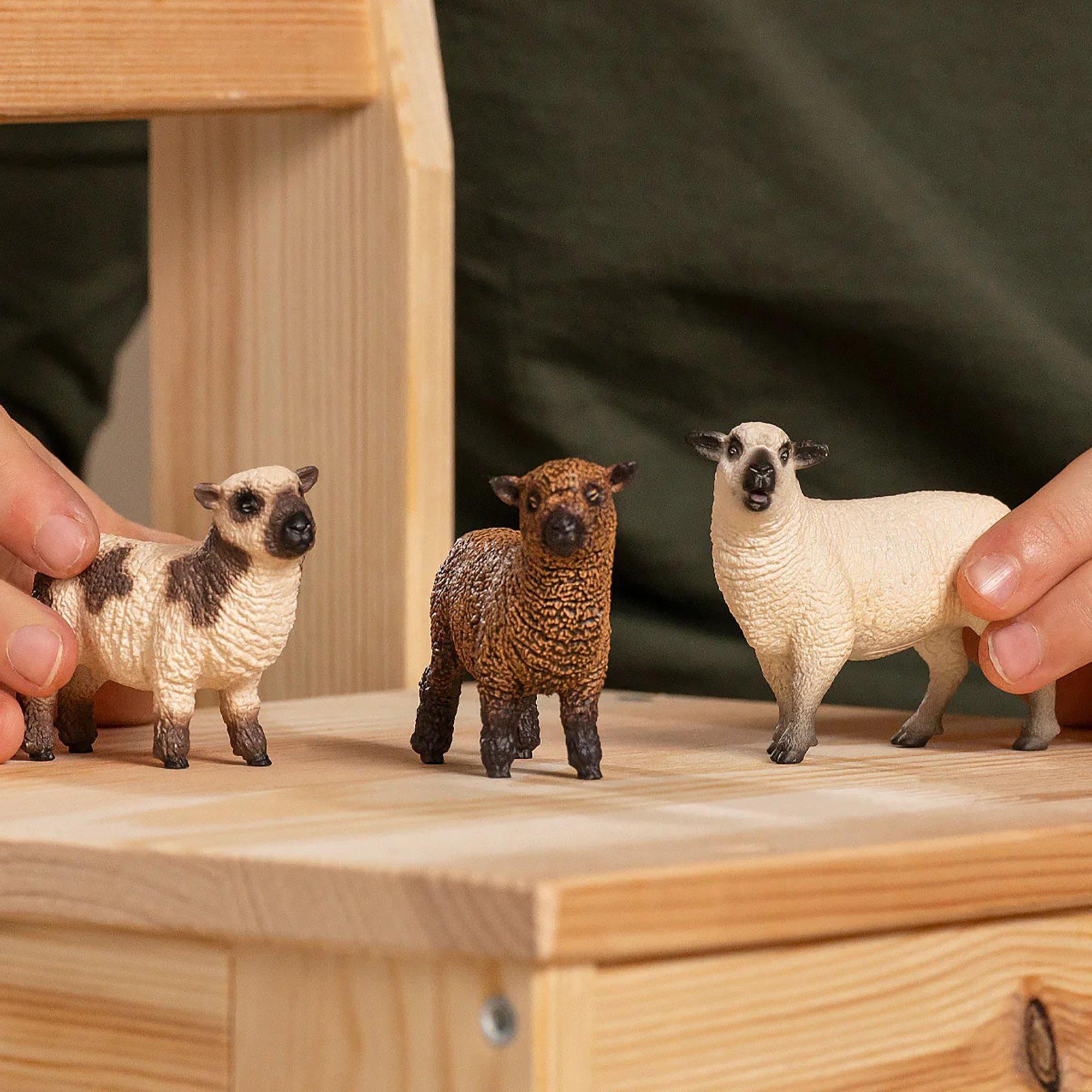 Farm World: Sheep Friends image number 4