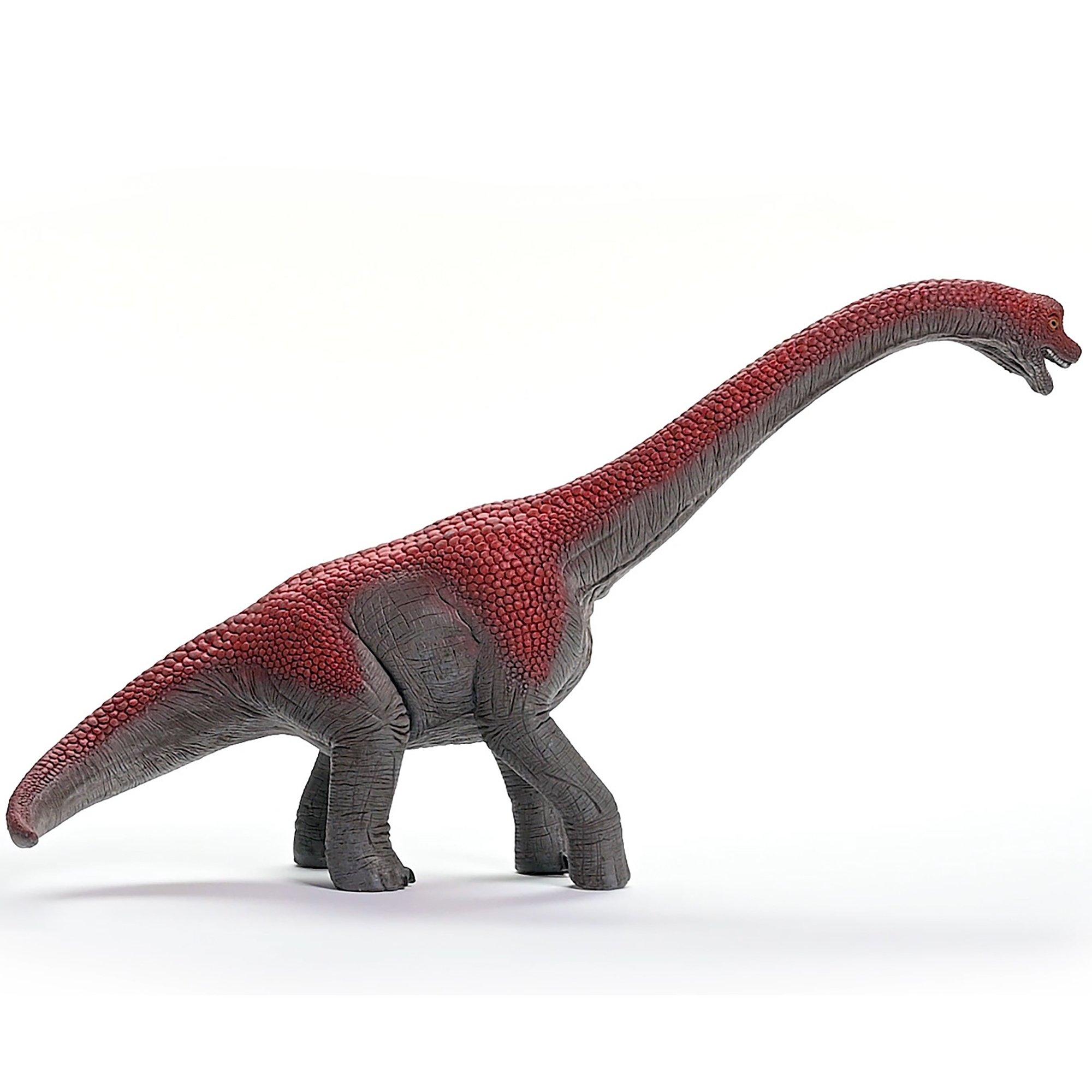 Dinosaurs: Brachiosaurus image number 4