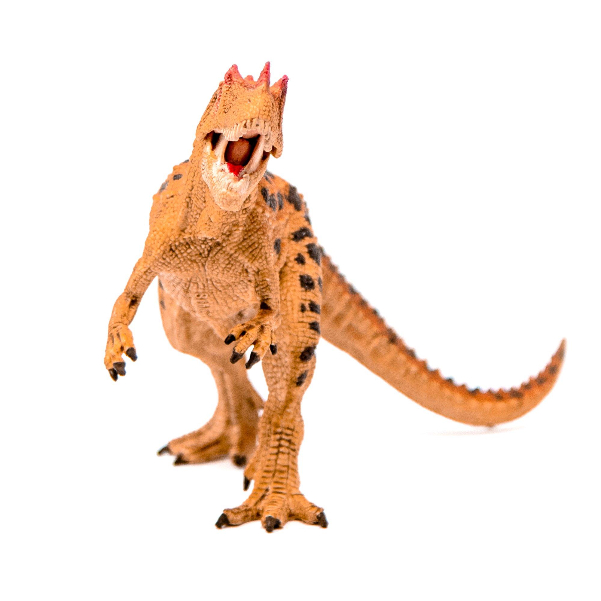 Dinosaurs: Ceratosaurus image number 2