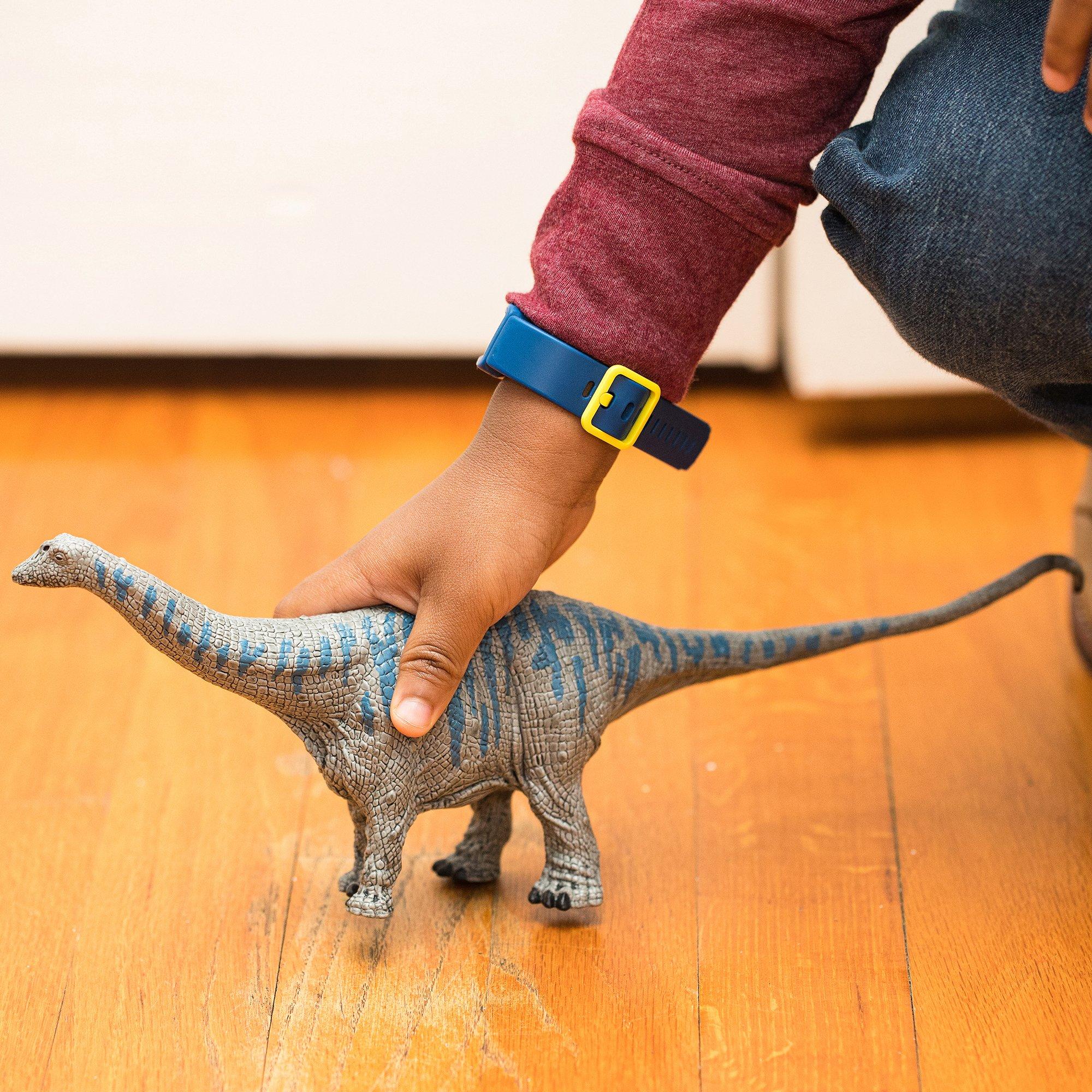 Dinosaurs: Brontosaurus image number 3