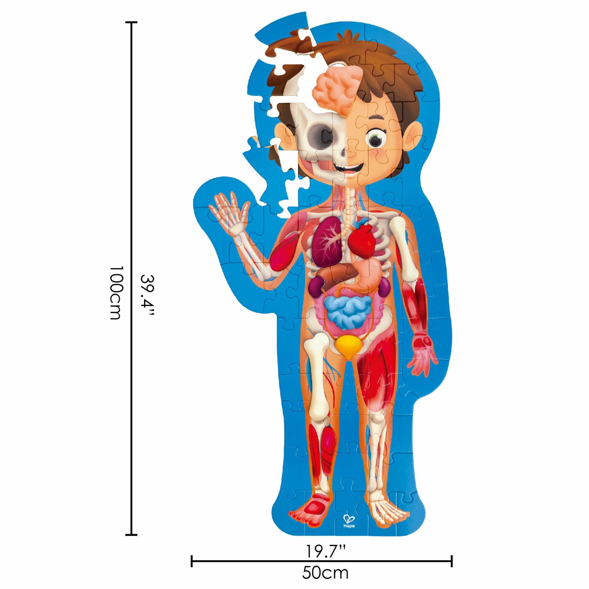 Human Body Puzzle - 60 Oversized Pieces image number 2