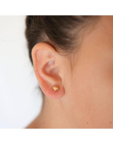 Seashell Stud Earrings