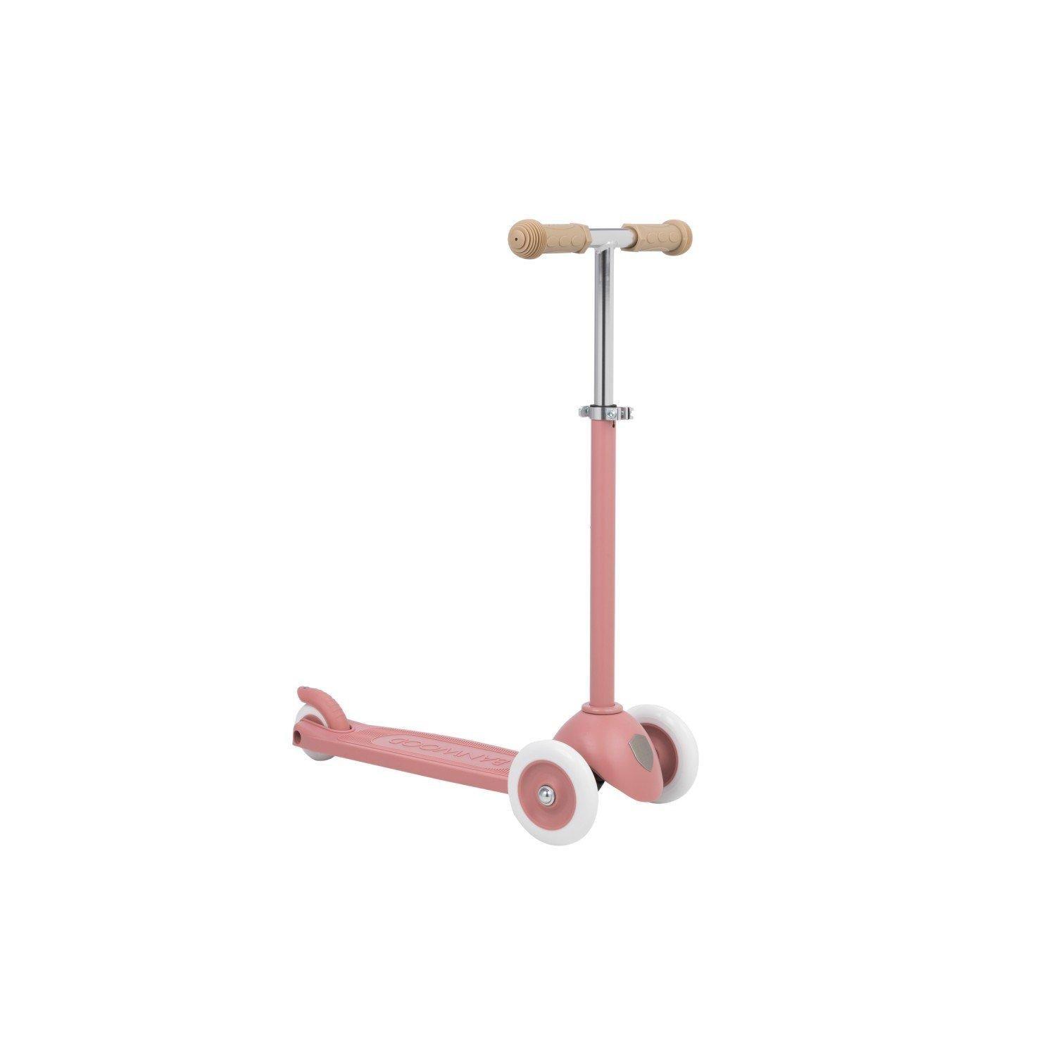 Eco Scooter Raspberry
