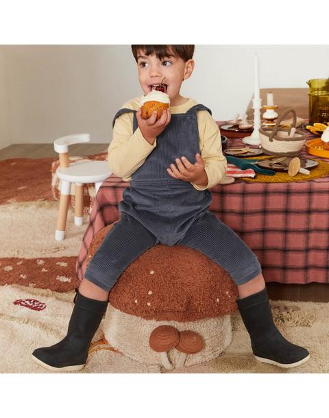 Pouf Boletus