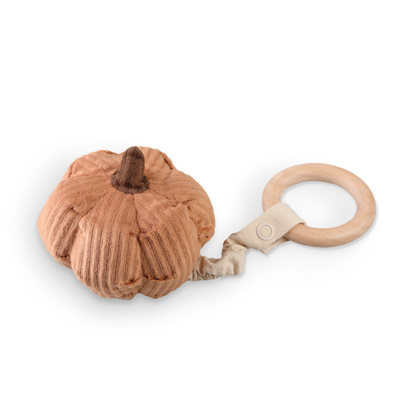 Pumpkin Rattle