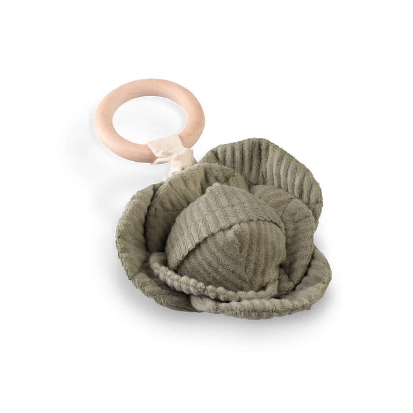 Cabbage Rattle