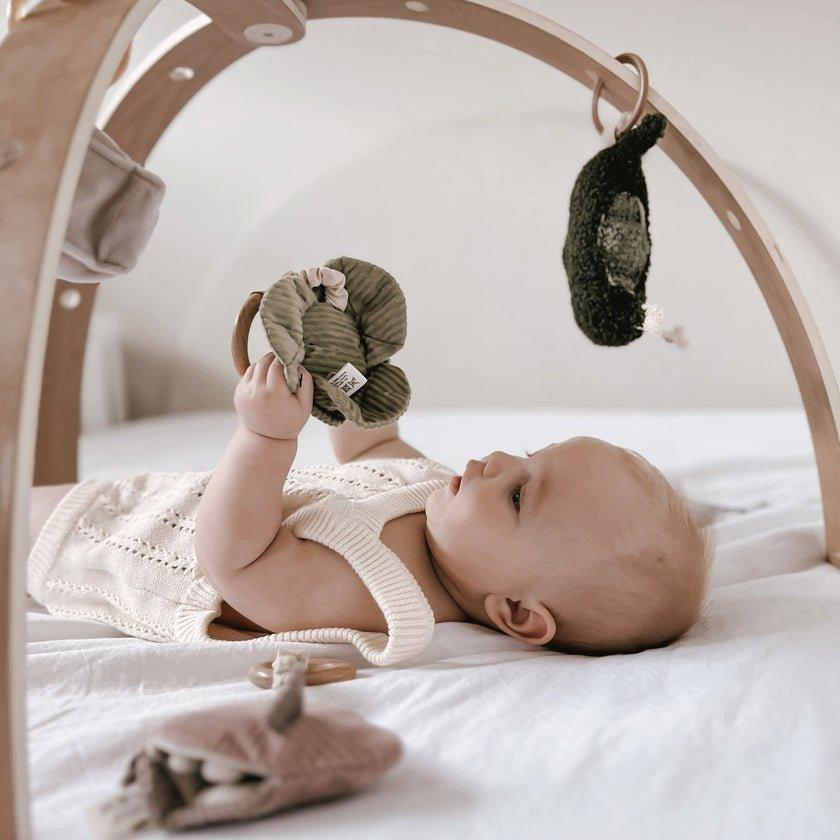 Cabbage Rattle image number 1